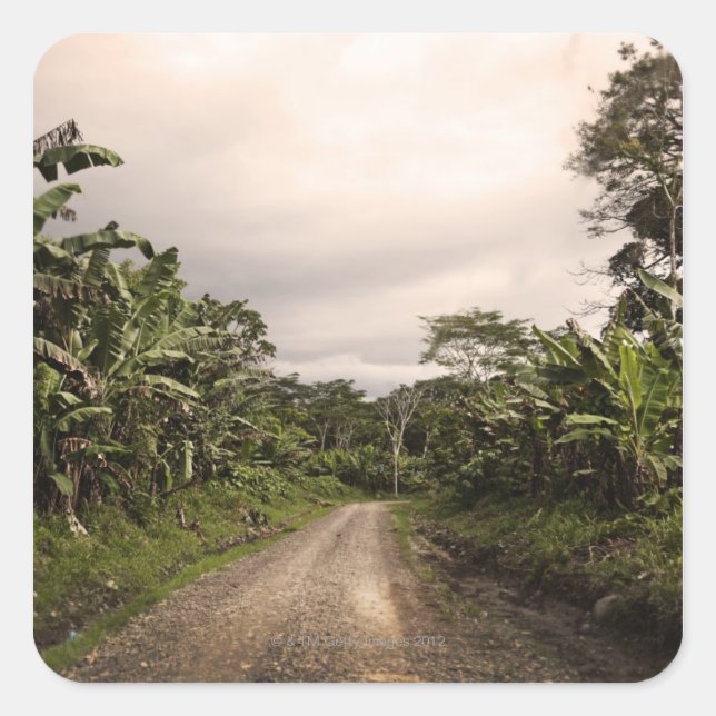 Adesivo Quadrado Uma estrada remota da selva (Frente)