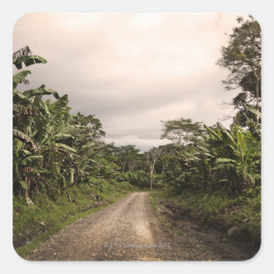 Adesivo Quadrado Uma estrada remota da selva