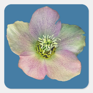 Adesivo Quadrado Uma flor