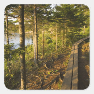 Adesivo Quadrado Uma passarela de madeira no Parque Nacional Acadia