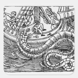 Adesivo Quadrado Uma serpente de mar