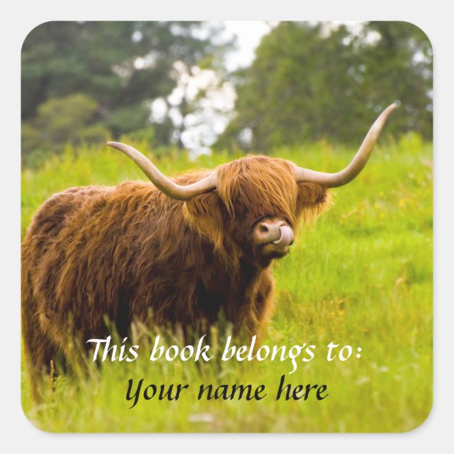 Adesivo Quadrado Uma Vaca Highland "Este livro pertence a" Sticker (Frente)