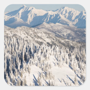 Adesivo Quadrado Uma vista cénico de montanhas nevado e de árvore