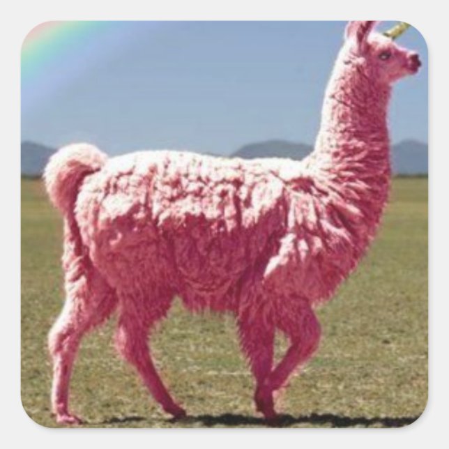 Adesivo Quadrado Unicorn-Lama Sticker (Frente)