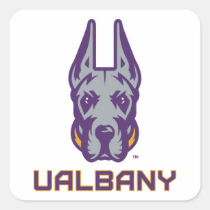 Adesivo Quadrado Universidade de Albany Great Danes