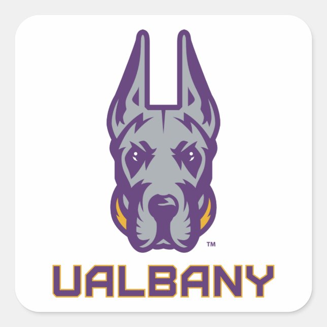 Adesivo Quadrado Universidade de Albany Great Danes (Frente)