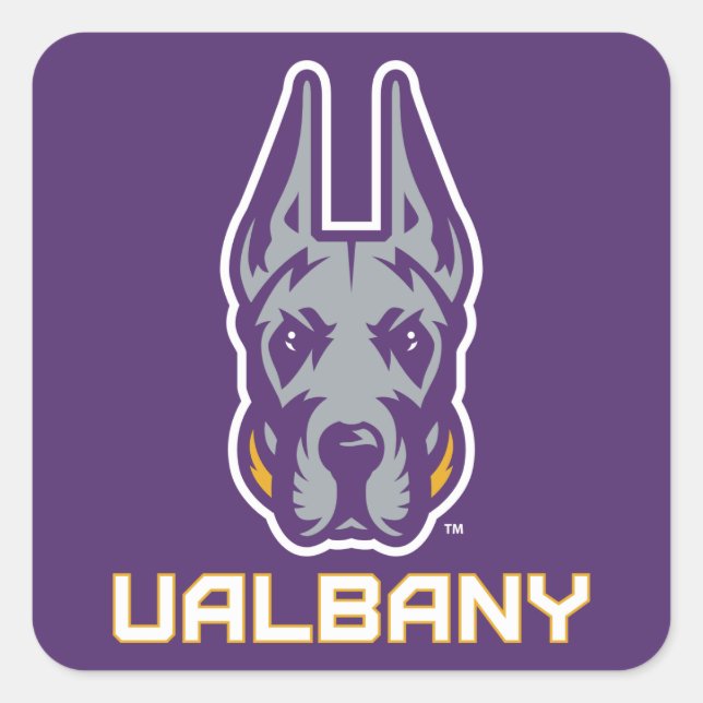 Adesivo Quadrado Universidade de Albany Great Danes (Frente)