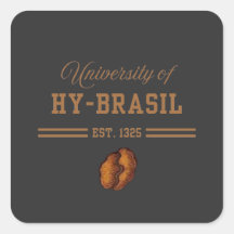 Universidade de Hy-Brasil, Est. 1325