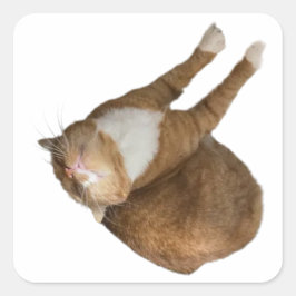 Adesivo Quadrado Upside-Down Sunshine