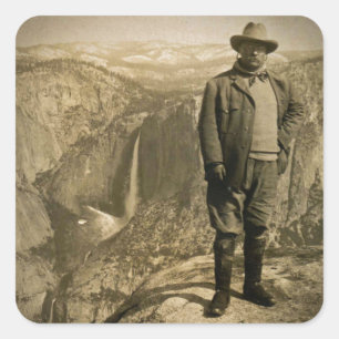 Adesivo Quadrado Ursinho Roosevelt Glacier Point Yosemite Valley