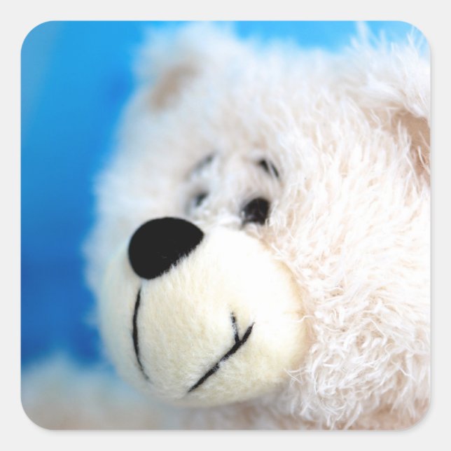 Adesivo Quadrado Urso Azul (Frente)