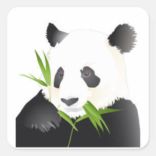 Adesivo Quadrado Urso de Panda