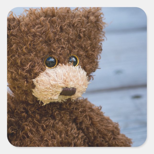 Adesivo Quadrado Urso de Teddy Curly Brown (Frente)