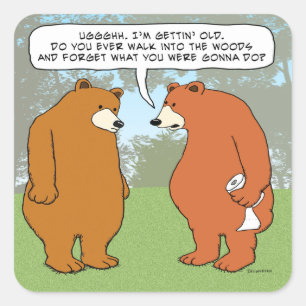 Adesivo Quadrado Urso esquecido engraçado nas madeiras