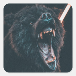 Adesivo Quadrado Urso Irritado Dente Urso Negro