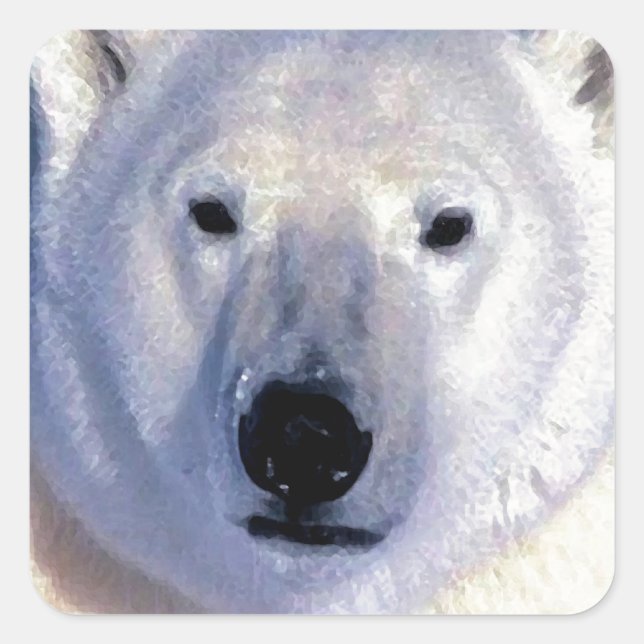 Adesivo Quadrado Urso Polar (Frente)