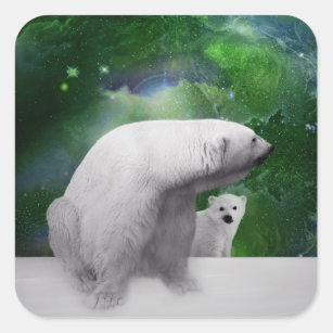 Adesivo Quadrado Urso Polar, Cubo e aurora das Luzes Nortes