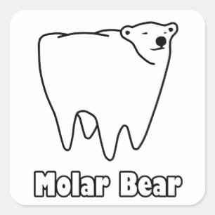 Adesivo Quadrado Urso Polar do Urso Molar