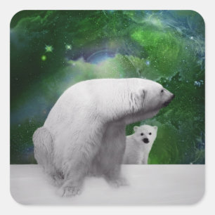 Adesivo Quadrado Urso polar, filhote e Aurora da aurora boreal