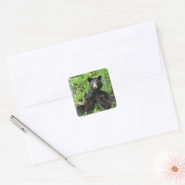 Adesivo Quadrado Urso Preto e Cubos Gêmeos (Envelope)