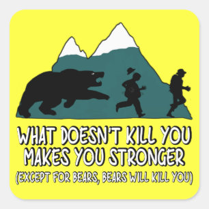 Adesivo Quadrado Ursos engraçados