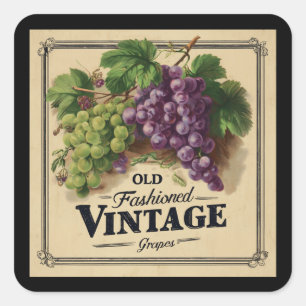 Adesivo Quadrado Uvas de moda antiga, vinho púrpura e vinho preto