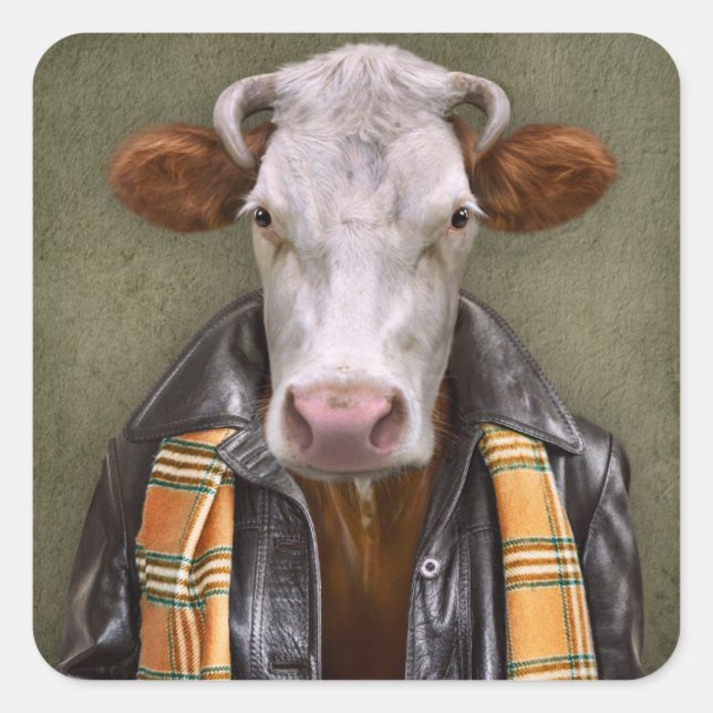 Adesivo Quadrado Vaca (Frente)