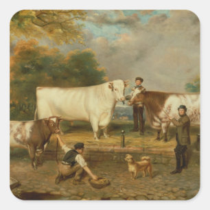 Adesivo Quadrado Vacas com um pastor