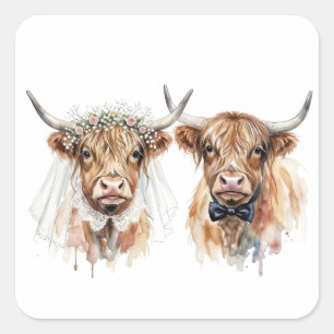 Adesivo Quadrado Vacas das Terras Altas no Casamento em Aquarela