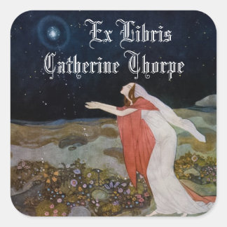 Adesivo Quadrado Vapor de chapa leve