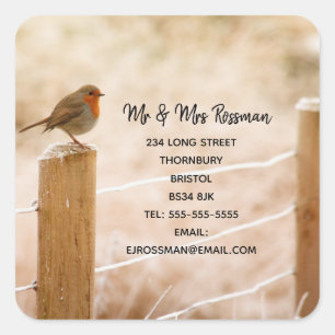 Adesivo Quadrado Vassoura de Natal Mudança de vinheta de endereço