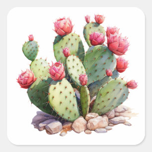 Adesivo Quadrado Vedante do Jardim de Cactus Blooming - Succulen Co