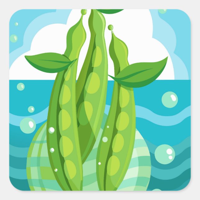 Adesivo Quadrado Vegetais de feijão verde orgânico (Frente)