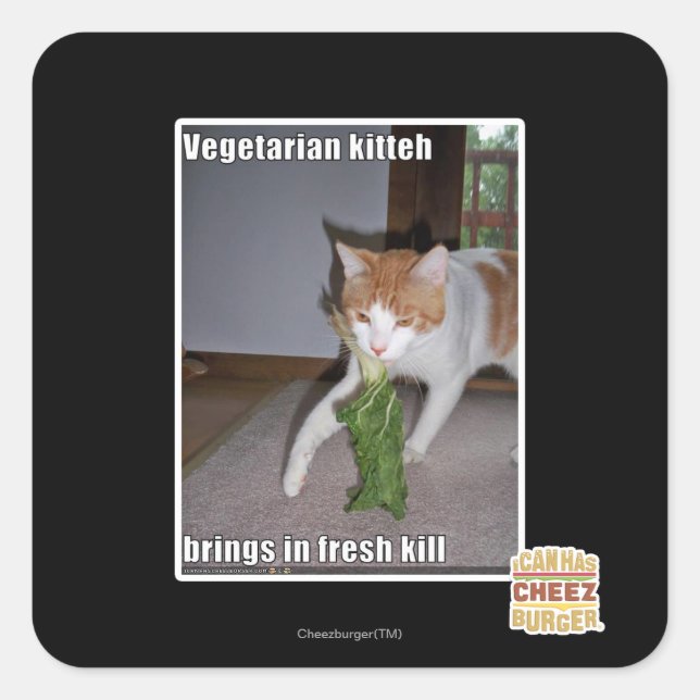 Adesivo Quadrado Vegetariano Kitteh (Frente)