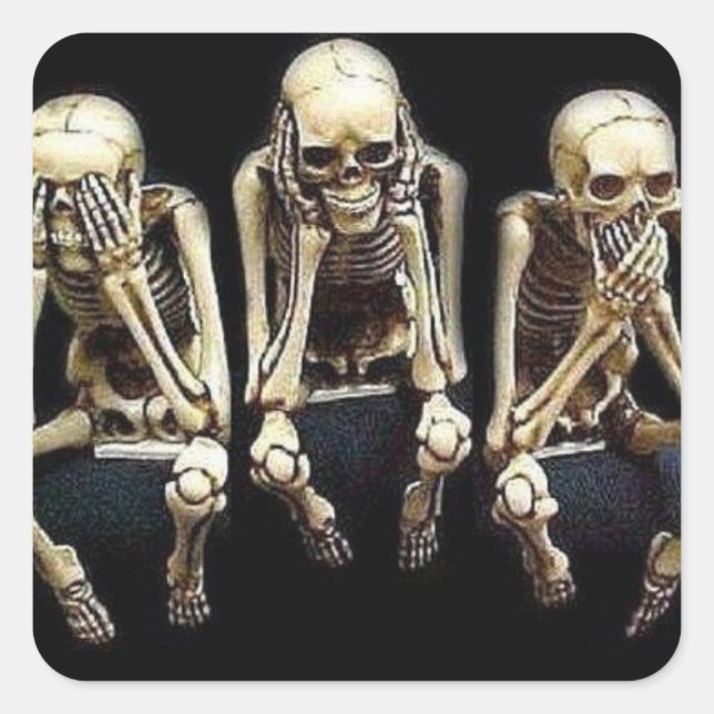 ADESIVO QUADRADO VEJA FALAR NÃO OUVIR MAU (Frente)