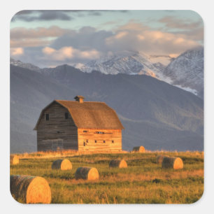 Adesivo Quadrado Velho celeiro enquadrado por fardos de feno e dram