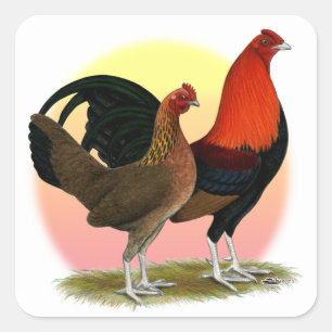 Adesivo Quadrado Velho Jogo Inglês Bantam: BB Red