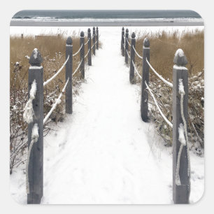 Adesivo Quadrado velho orchard Beach Mine