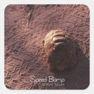 Adesivo Quadrado Velocidade