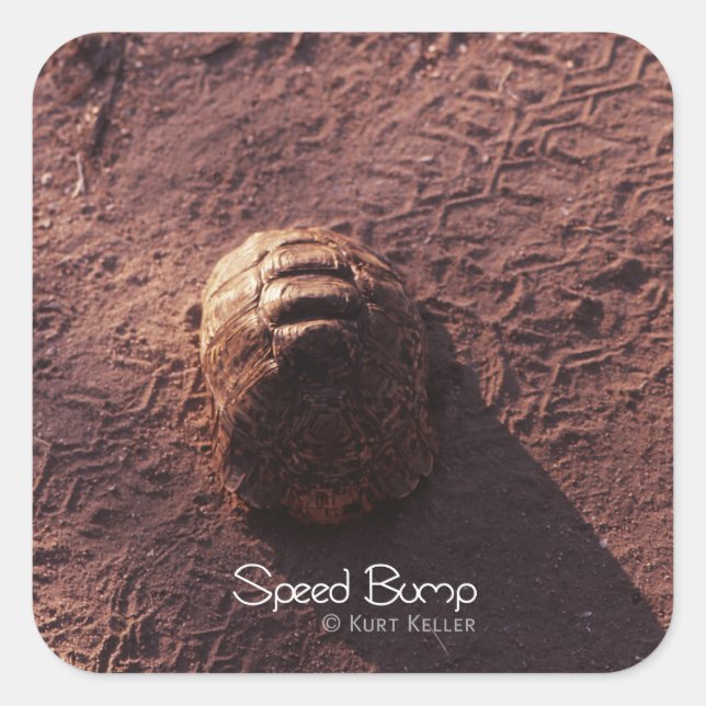 Adesivo Quadrado Velocidade (Frente)