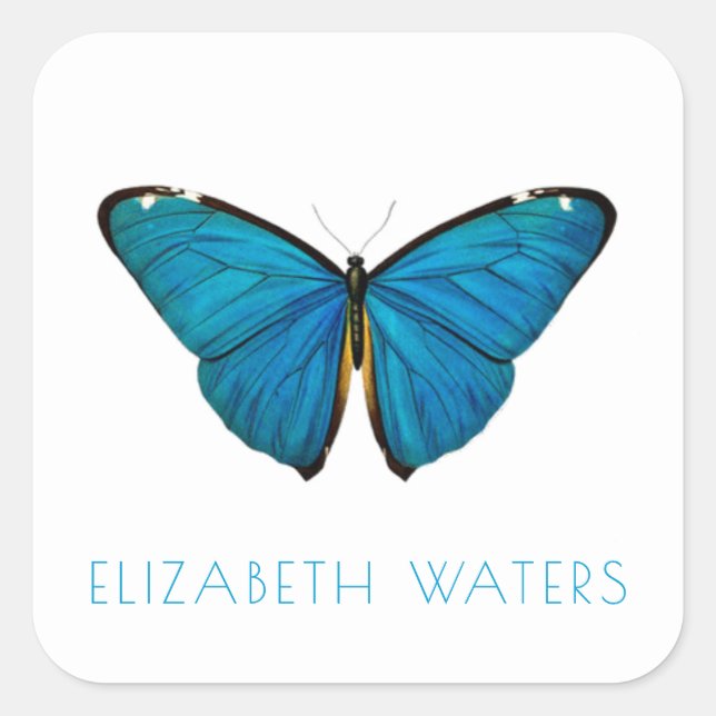 ADESIVO QUADRADO VELOPE SINALIZADOR: BOTÃO AZUL (Frente)