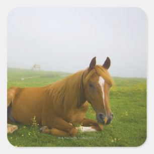 Adesivo Quadrado veneto itália 2