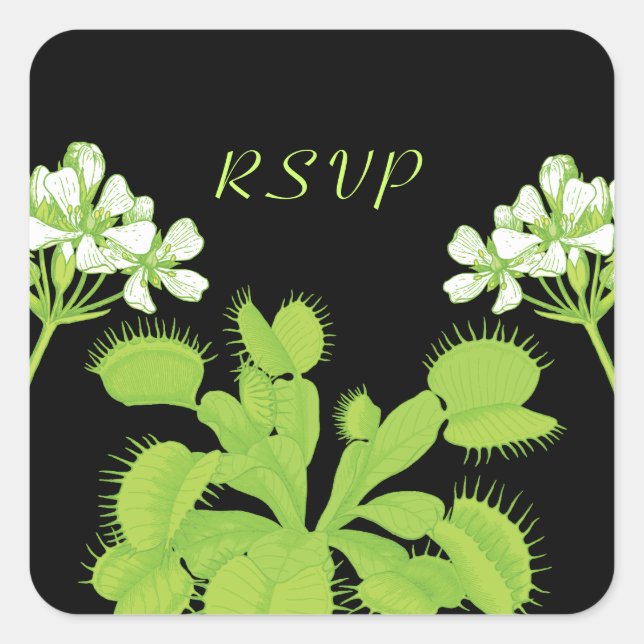 Adesivo Quadrado Venus Flytrap Flowers RSVP (Frente)