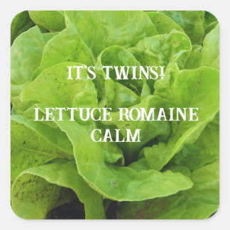Adesivo Quadrado Verde é alface gêmea
