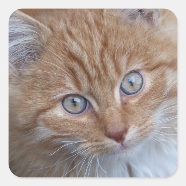 Adesivo Quadrado Vermelho e Branco, Cabelo Longo, Face de Gato (Frente)