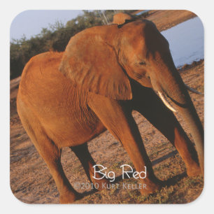 Adesivo Quadrado Vermelho Grande