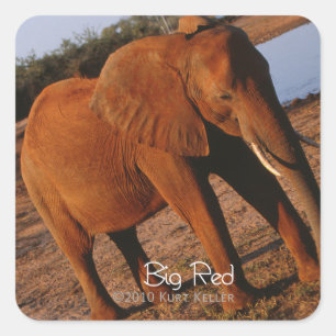 Adesivo Quadrado Vermelho Grande