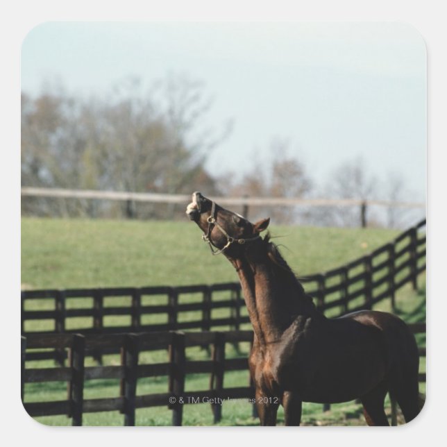 Adesivo Quadrado Vermont, EUA 2 (Frente)