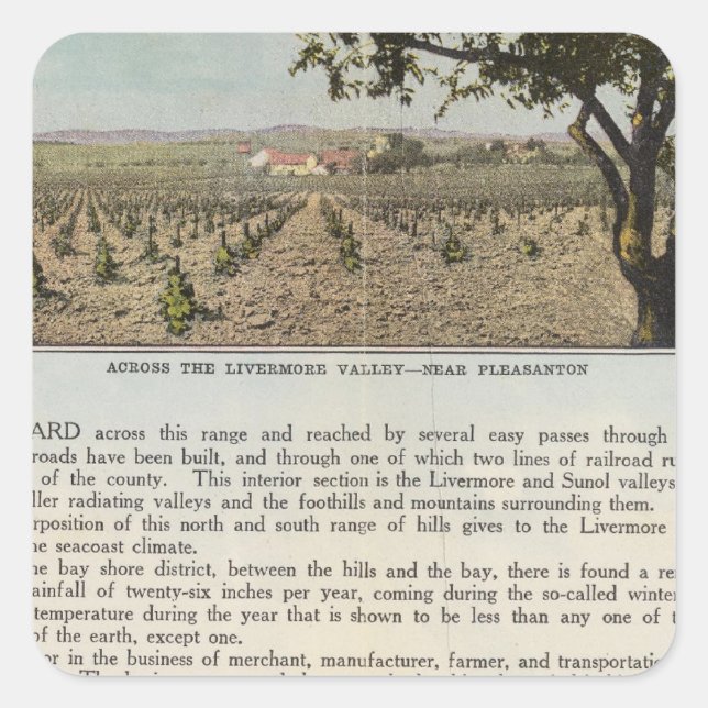 Adesivo Quadrado Verso Alameda (Frente)