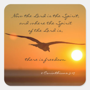 Adesivo Quadrado Verso da bíblia da liberdade, vôo do pássaro no